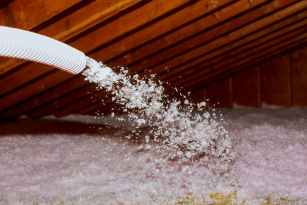 Best Energy Efficiency Solutions in Webb City, MO
