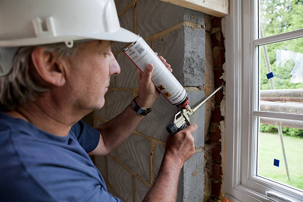 Best Insulation Installation Services in Webb City, MO