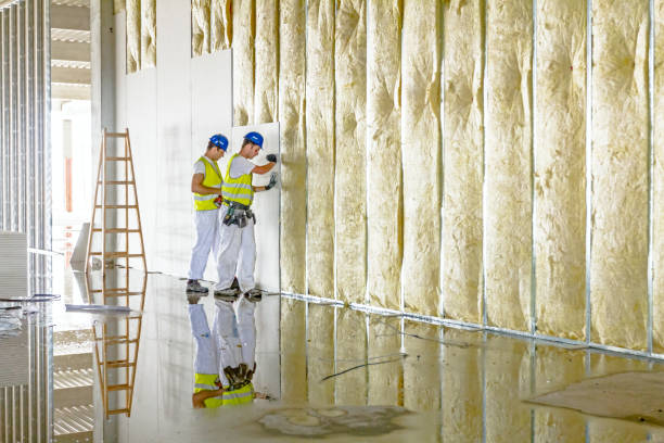 Best Insulation Materials and Products in Webb City, MO